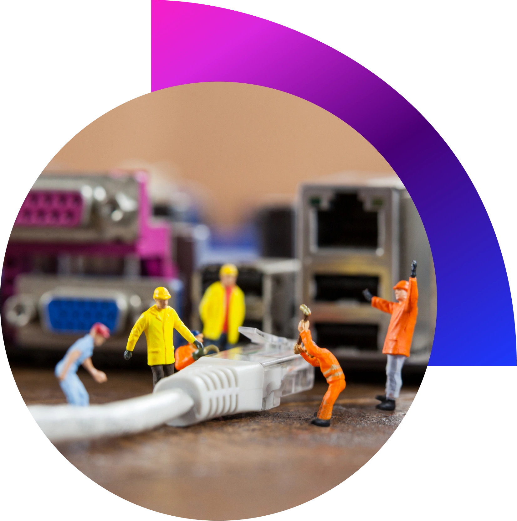 “Structured network cabling rack with labelled fiber and copper cables for office infrastructure”